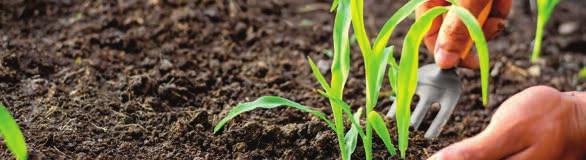 9. DUBINA SETVE Podesite dubinu setve prema uslovima i osobinama zemljišta, jer seme mora doći u dodir sa vlagom.