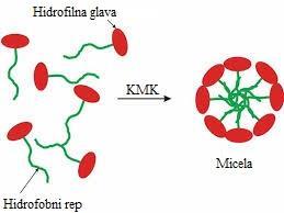 2009a). Svaka micela sadrži 4-50 molekula, u zavisnosti od tipa i strukture žučnih kiselina (Darkoh C, 2010). Slika 9.