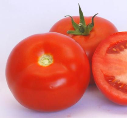 Slika 3.5.4. Plod rajčice kultivara 'Vasanta' (https://hollandfarming.ro/) 3.5. Kemijske analize 3.5.1.