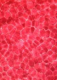 Ćelijski sok epidermalnih ćelija plodova i listova često sadrži pigmente tipa antocijana, koji im, u zavisnosti od ph, određuju: crvenu