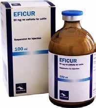 EFICUR, 50 mg/ml, ceftiofur suspenzija za injekciju, za goveda i svinje Sastav : 1 ml sadrži ceftiofur 50 mg Indikacije: Govedo: Liječenje infekcija dišnih organa