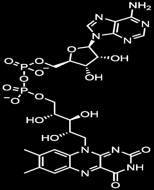 Koenzimi Na Bazi Vitamina B Skupine Pdf Free Download