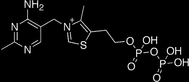 Koenzimi Na Bazi Vitamina B Skupine Pdf Free Download