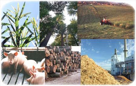 Održivi razvoj i energija Biomase Biomasa je obnovljiv izvor energije, a čine je brojni proizvodi biljnog i životinjskog sveta.