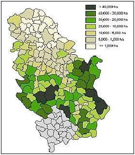 Šume i šumsko zemljište se u Republici Srbiji prostiru na oko 2,5 miliona hektara, što čini 1/3 teritorije Srbije.