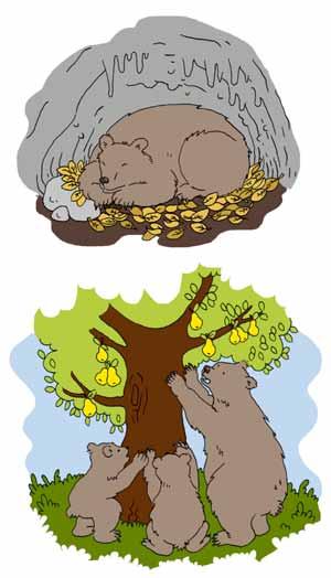 Medin zimski san Medved je velika spavalica. U jesen po~iwe da se sprema za zimski san. Trudi se da pojede {to vi{e hrane. Na sve strane tra`i pe}inu, udubqewe ili gust grm.
