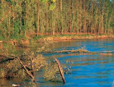 Konačan dokaz vrijednosti bit će skoro proglašenje rezervata biosfere Mura-Drava-Dunav (kategorije UNESCO-a) koja će Hrvatsku svrstati među najpoznatija prirodna područja na svijetu poput Denalia u