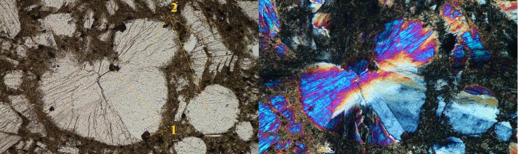 Na slici se vidi i vezikula ispunjena prehnitom, a na njenom rubu su zrna plagioklasa (3). -N i +N, povećanje 10x (širina vidnog polja: 1,4 mm).