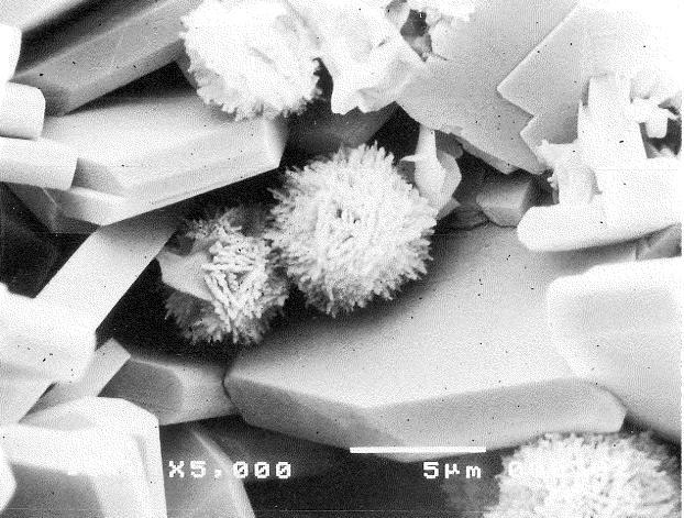 XRD metodom utvrďeno je da su minerali bijele zone mordeniti (Tablica 1, Slika 46), a karamel-smeďe zone klinoptiloliti (Tablica 1, Slika 47).