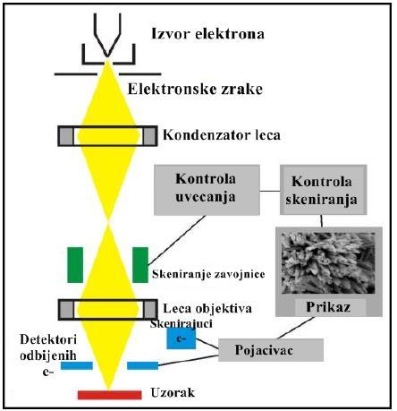 površini uzorka. Područja u rasponu od oko 1 cm do 5 mikrona širine mogu biti snimljena u modu skeniranja pomoću konvencionalnih SEM tehnika (uvećanje u rasponu od 20x do oko 30.
