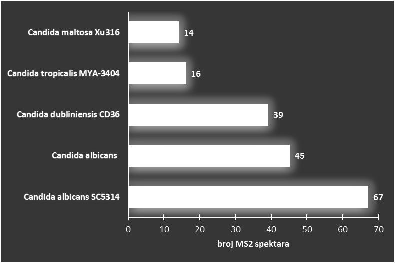 Rezultati i rasprava Na slici 8 vidljivo je da je daleko najveći broj spektara pronađen za vrstu Candida albicans.