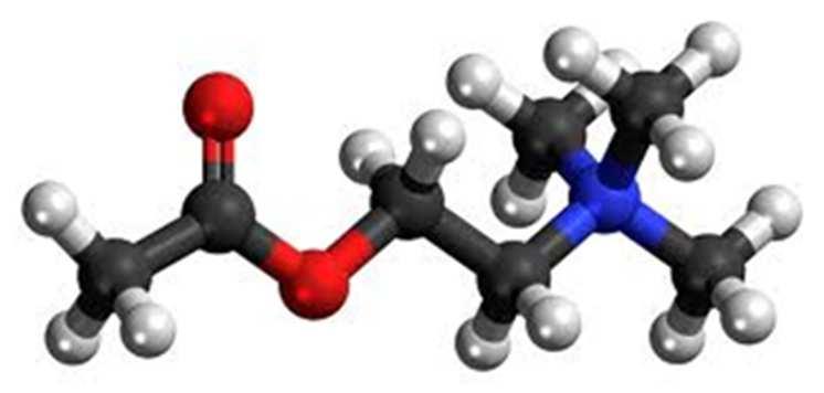 2.4. Acetilkolin Acetilkolin (engl. acetylcholine, ACh), prikazan na slici 5., je prvi otkriveni neuroprijenosnik.