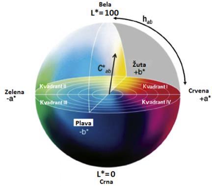 4. Materijal i metode istraživanja Parametri boje su predstavljeni u CIE L*a*b* sistemu zasnovanom na tri koordinate preko kojih se definiše boja: L* (svetloća), a* (udeo crvene boje) i b* (udeo žute