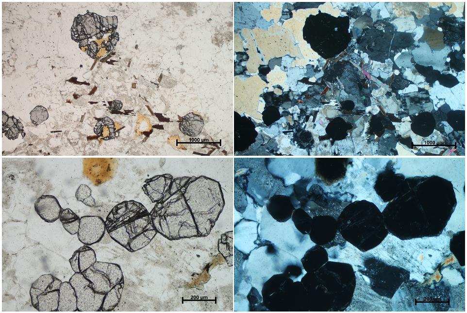 Zrna kvarca su alotriomorfna (slika 16), veliĉina im varira od 0,1 mm do 1 cm.