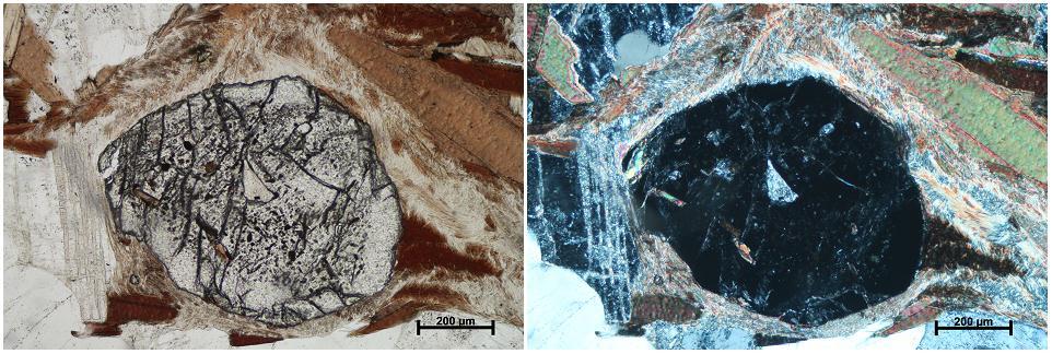 Slika 24. Uzorak SH-3: Porfiroblast granata u melanosomu okruţen povijenim zrnima biotita i vlaknastim fibrolitom. PPL, N- (lijevo), N+ (desno).