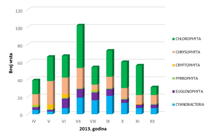 REZULTATI Slika 21. Broj vrsta fitoplanktona Sakadaškog jezera utvrđenih kvalitativnom analizom tijekom razdoblja istraživanja 2013. godine Brojnost fitoplanktona kretala se od 1,36x10 6 ind.