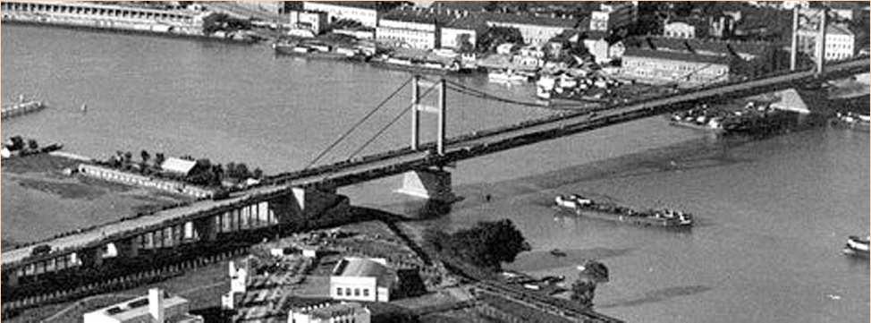 Висећи мостови на Дунаву Мост
