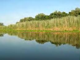 Парк природе је подручје добро очуваних природних својстава вода, ваздуха и земљишта, преовлађујућих екосистема и без већих деградационих промена предеоног лика и у целини представља значајан део