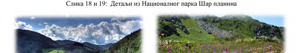 Биљни свет Парка је јако разноврстан, и то захваљујући саставу тла и клими. За ову планину је карактеристична вертикална зоналност вегетације.