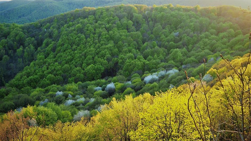 Lipin list tjedni pregled događanja broj 19/2019 7. svibnja 2019. Kako je sve bliže toplije vrijeme sve će više izleta biti u Sloveniju odnosno Alpe.