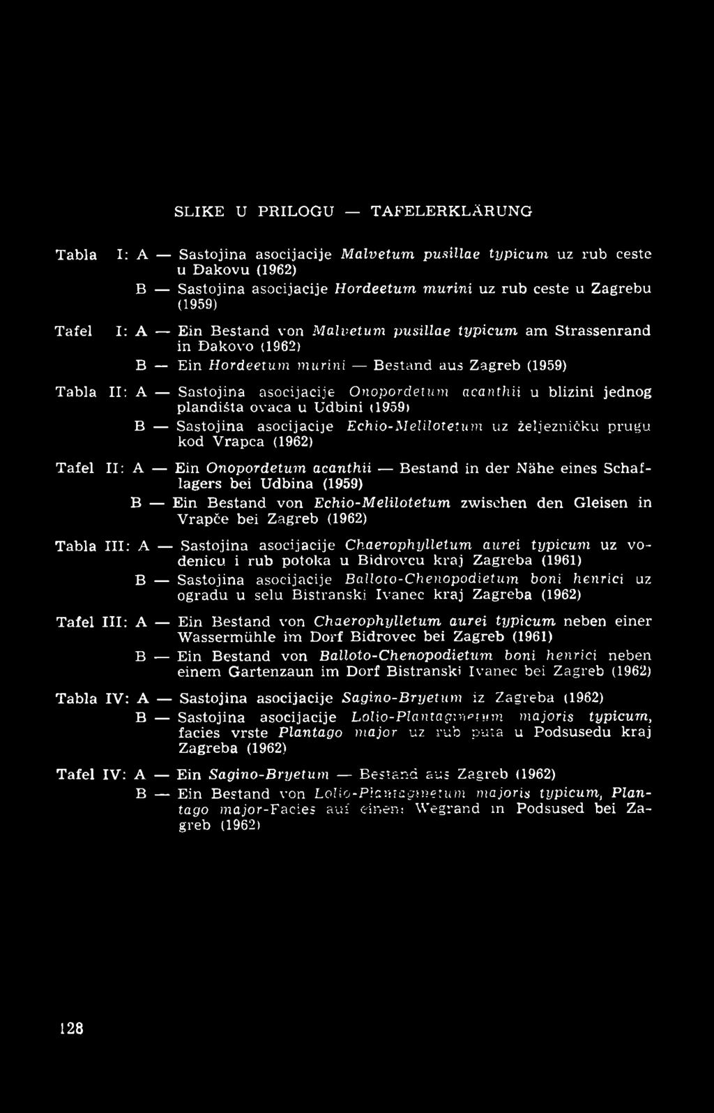jednog plandišta ovaca u Udbini (1959) B Sastojina asocijacije Echio-M elilotetum uz željezničku prugu kod Vrapca (1962) Tafel II: A Ein O nopordetum acanthii Bestand in der Nähe eines Schaflagers