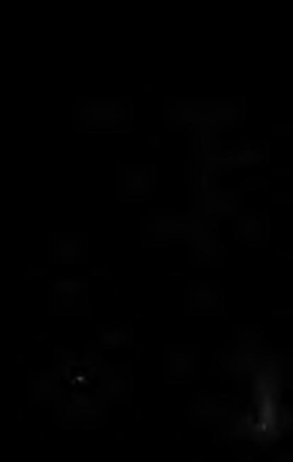 Literatura Schrifttum B jelčić, 2., 1954: Flora i vegetacija bare Velika Tišina. God. Biol. inst. 7, 181 207, Sarajevo. Flori, A., 1925 1929: Nuova flora analitica d Italia. II. Firenze. Freyn, J.