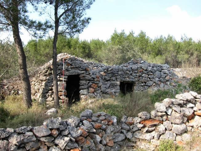 U svakom slučaju može se pretpostaviti da su skladno građeni trimi izgledom plijenili i nekada kao i danas i predstavljali ponos za svoje vlasnike, pogotovo kada je krajolik zbog manje vegetacije bio