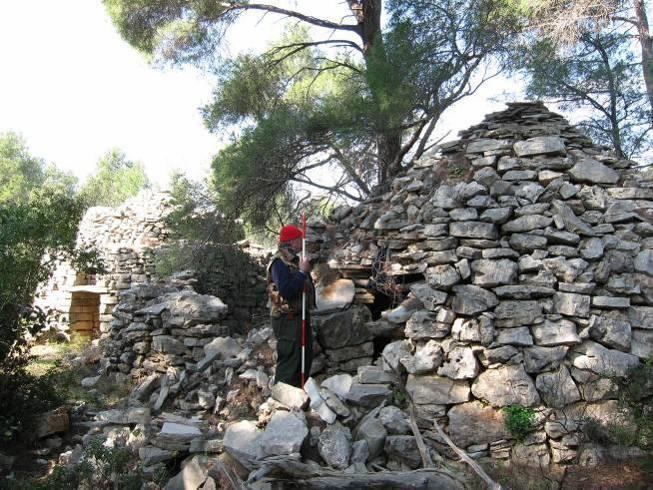 Naziv trim je lokalizam središnjeg i zapadnog dijela otoka Hvara, a osim obuhvata zaštite Starogradskog polja u kojemu ih je ovim istraživanjem evidentirano 189, rašireni su po cijeloj zoni, sa