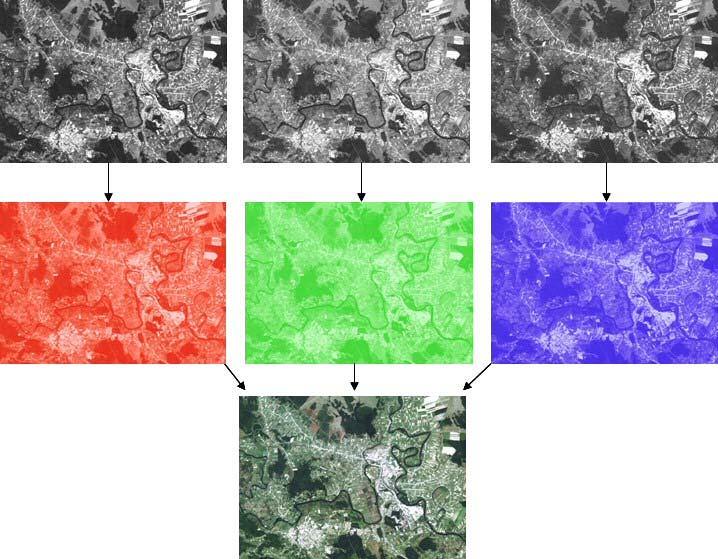 Слика 1-29 Пример добијања колор композита 3,4,5 (RGB ) даје слику у тоновима зелене боје и представља врло добру комбинацију за разликовање типова шума; помоћу ове комбинације су Хорлер и Ахерн 1986.