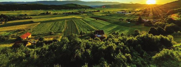 DRUŠTVO MULTIPLE SKLEROZE LIČKO SENJSKE ŽUPANIJE Društvo multiple skleroze Ličko senjske županije u 2018. godini nastavilo je s organiziranjem i provođenjem aktivnosti i planiranih zadataka. Dana 02.