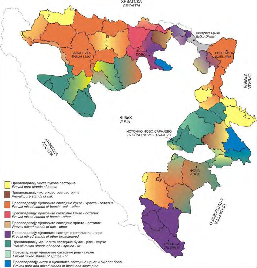 Sastojine koje preovladavaju po opštinama u Republici Srpskoj u 2009.