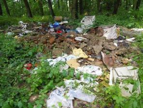 Назив: Дивља депонија у Бељини Локација: МЗ Бељина Селска шума, потез