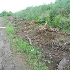 Назив: Дивља депонија у Арнајеву (1) Локација: МЗ Арнајево Старост