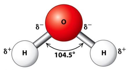 2.2. Kemijske karakteristike vode Voda je dipolna molekula koja se sastoji od dva atoma vodika i jednog atoma kisika (Slika 1.).
