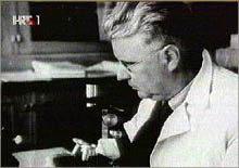 U Pragu 1920. Tavčar brani doktorat iz genetike i oplemenjivanja biljaka.