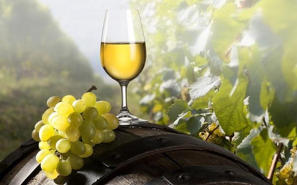Graševina je bijela sorta grožđa i istoimenog vina. Pretpostavlja se da je podrijetlom iz srednje Europe (18).