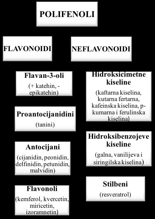 Slika 3. Osnovna podjela polifenola ( Izvor: vlastita izrada autora, 2017). 1.4.1. Flavonoidi Flavonoidi predstavljaju najrašireniju grupu prirodnih složenih fenola.