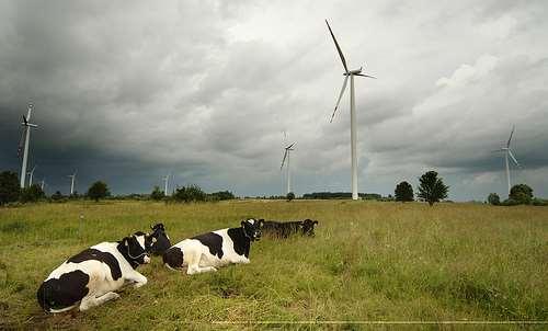 6 VARŠAVA Poljski sistem potsticanja obnovljivih izvora energije je skup i ne funkcioniše jer nije proizveo stalno uvećanje udela električne energije iz OIE, zbog čega zemlja može promašiti EU cilj