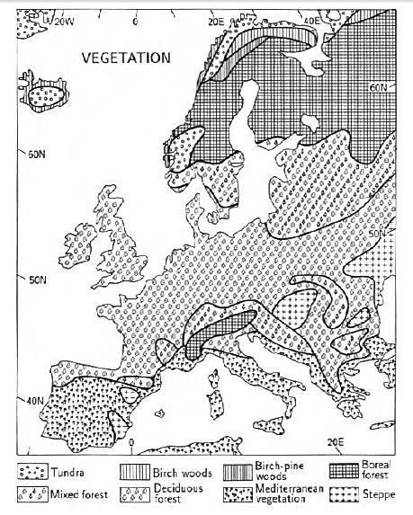 3.2 Vegetacija Europe danas Na krajnjem sjeveru Europe prirodna vegetacija je tundra jer su temperature tijekom sezone rasta preniske da bi omogućile razvoj drvećea.