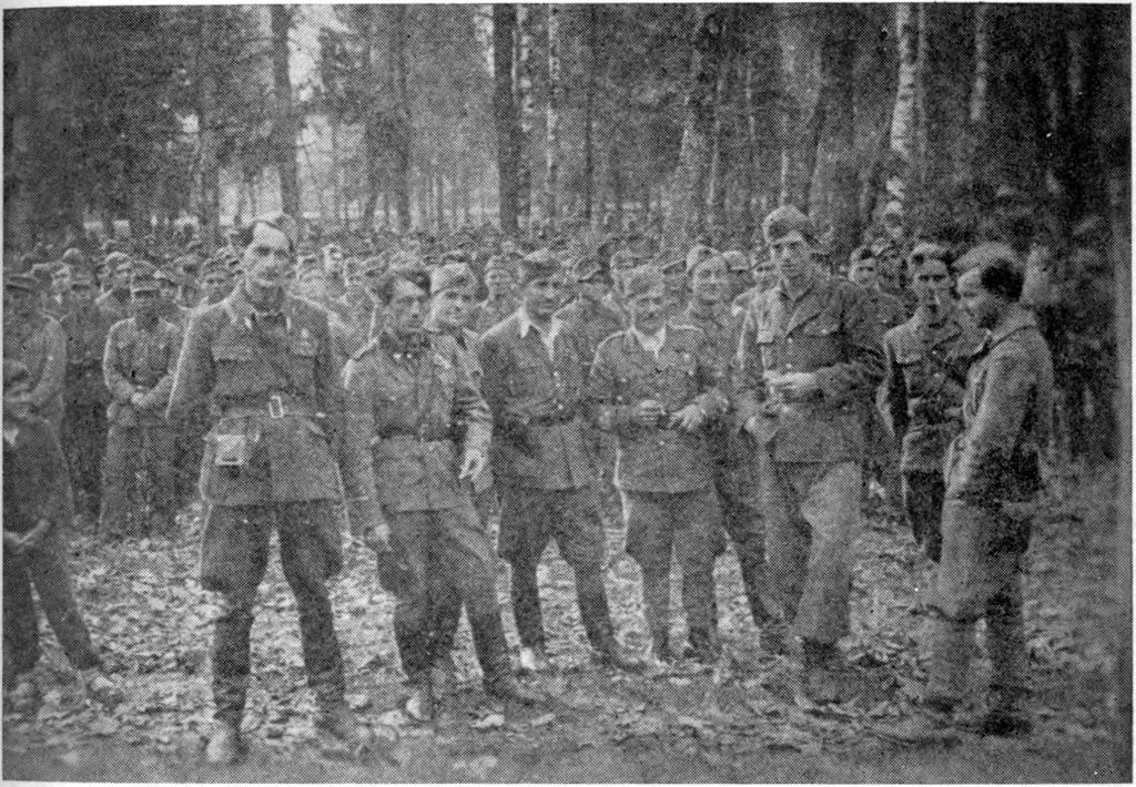 Grupa oficira na službi u Štabu divizije sa domobranima