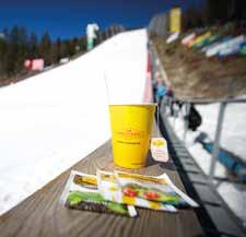 U ovogodišnjoj sezoni podržao ih je omiljeni brand čajeva 1001 CVET kao partner programa za mlade slovenskih alpskih skijaša.