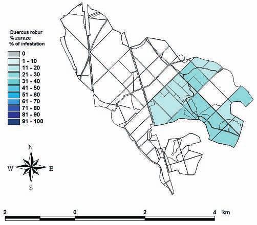 Figure 6 Forest Administration Vinkovci: intensity of infestation and the spatial arrangement of examined subcompartments of pedunculate oak in the Management Unit Trizlovi-Rastovo, Forest Office