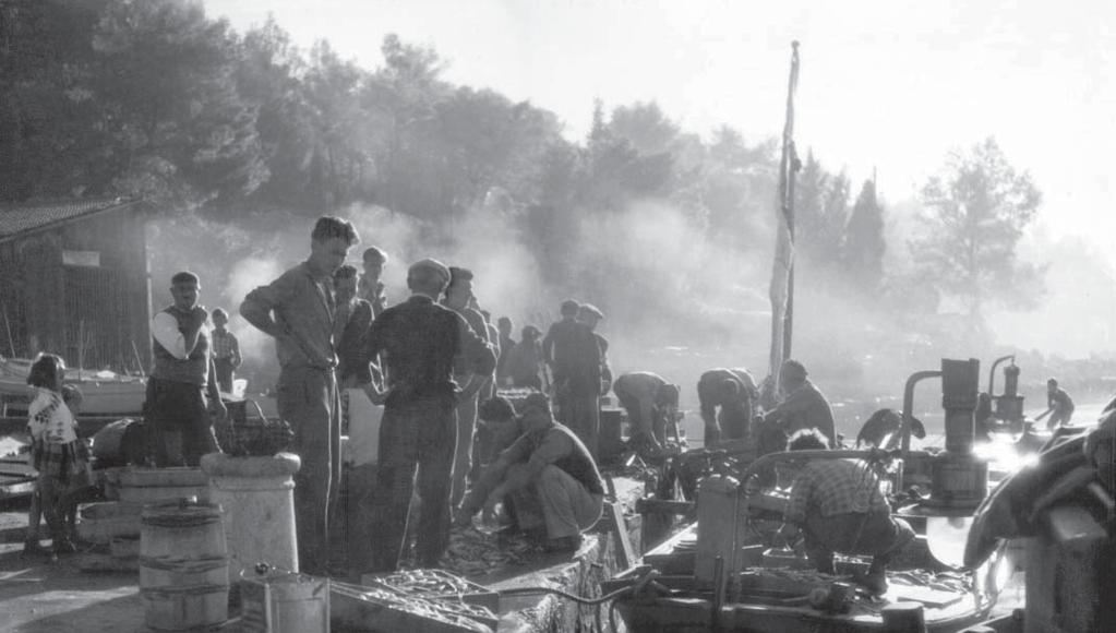 4 uvodnik Piπe Ivica Buljan 5 foto Andro DamjaniÊ foto brojafoto Andro DamjaniÊ Prije nekoliko dana, gostujuêi u emisiji Drugi dio dana Hrvatskog radija, Lewis Carni, direktor programa BBCjeva Radija