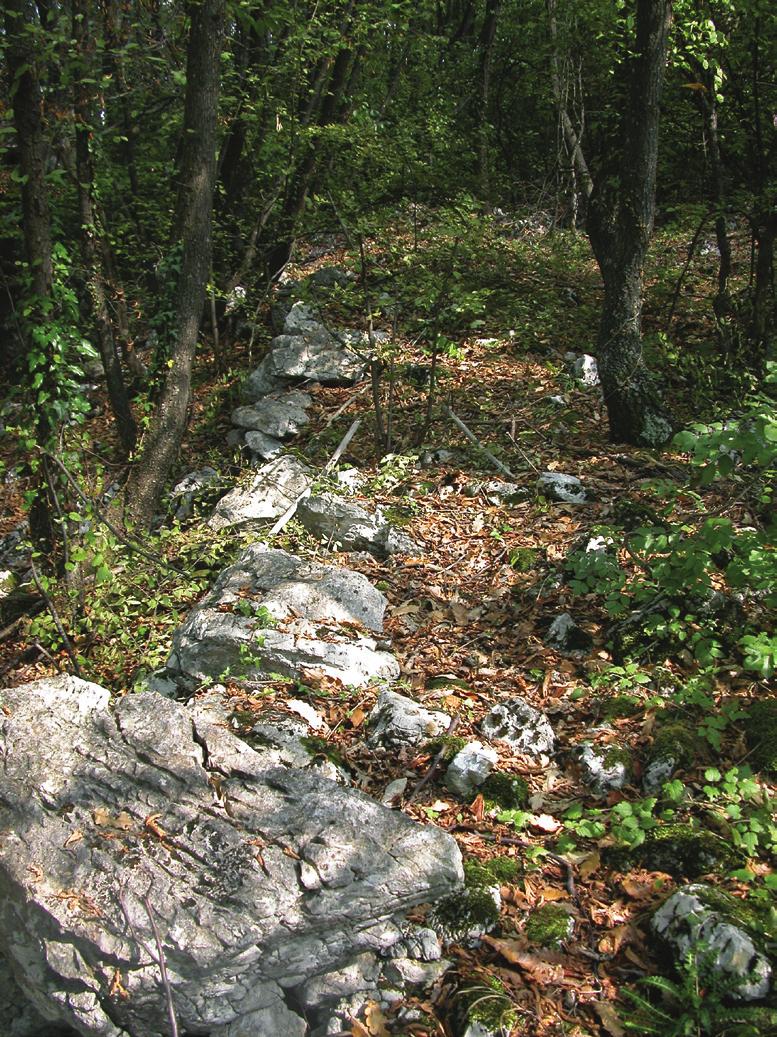 Резултати нових археолошких истраживања у северозападној Србији и суседним територијама Бедем има неправилну издужену форму око простора укупне површине од око 0,7 ha, а за његову основу са једне
