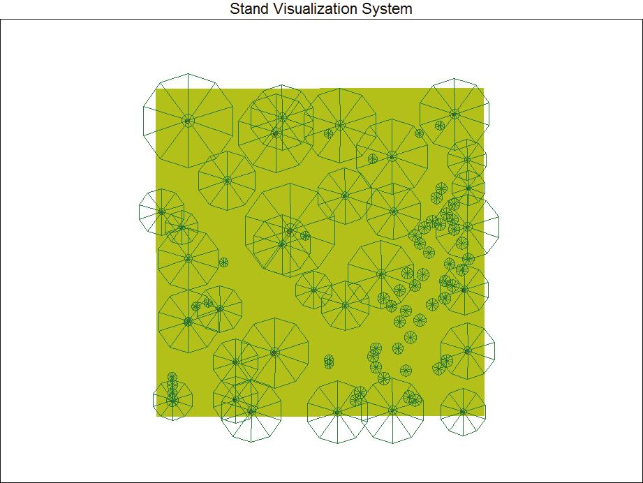 N N Шема 1. Просторни распоред стабала и подмлатка PP1 OT I Scheme 1. Spatial distribution of trees and regeneration PP1 OT I Шема 2. Просторни распоред стабала и подмлатка PP1 OT II Scheme 2.