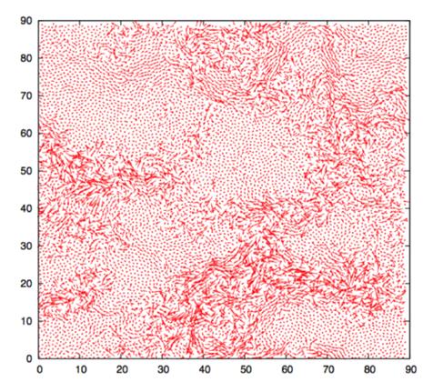 Slika 2.6: Dinamičke korelacije u pothladenoj tekućini. Svaka crvena linija je pomak jedne čestice u nekom vremenskom intervalu.