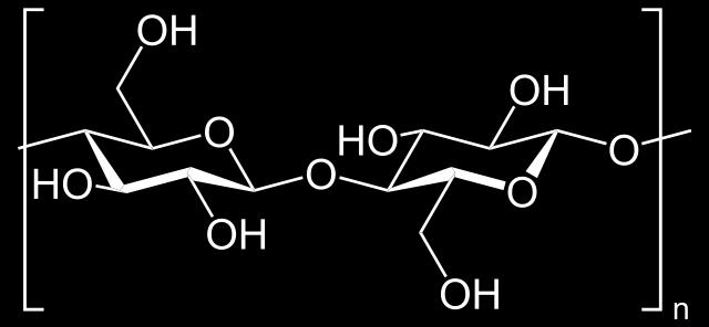 α amilaza je enzim koji izluĉuju ţlijezde slinovnice i gušteraĉa, a moţe vrlo lako razgraditi amilozu i amilopektin.