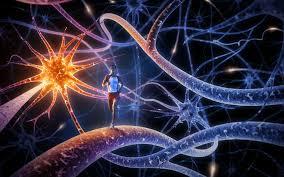 EMDR teorijski modeli Neurobiološki model Doživljaj traume uslijed intenzivne stres-reakcije organizma dovodi do trajne promjene u ravnoteži hormona, u sustavu transmitera i fiziologiji centralnog