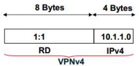 PRIMJENA BGP PROTOKOLA U VIRTUALNIM PRIVATNIM MREŽAMA kojih prvih 8 bajtova predstavlja tzv. Route Distinguisher (RD) 