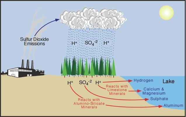 Загађена кишна вода може пореметити хемијску равнотежу ријека и језера, уништити